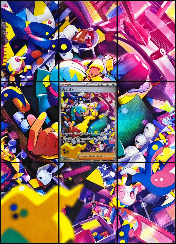 Canari SAR M2a 248/193 binder art