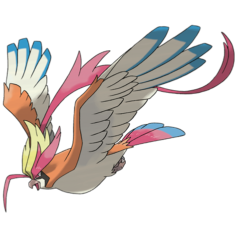 Mega Pidgeot official artwork